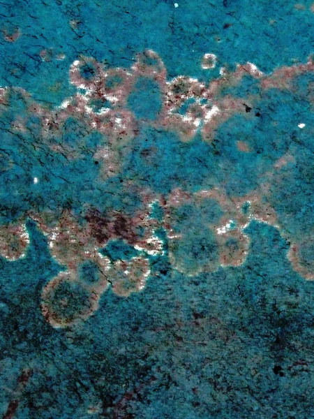 ilb 2023 | Echo. Echo: Magical Echoes. On Alien Bodies and Magical Horror